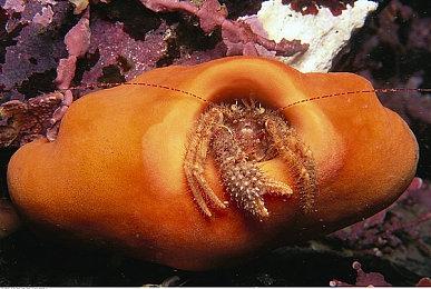 R星16年资深编剧现已离开了工作室