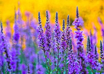 5款游戏决战网易总部！Y3制作挑战赛2023收官！