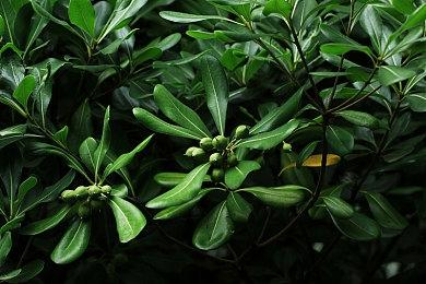 《哥谭骑士》Steam褒贬不一 不少反应优化太差